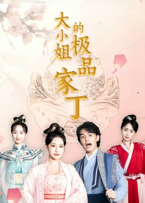 大小姐的极品家丁