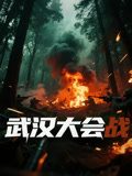 武汉大会战