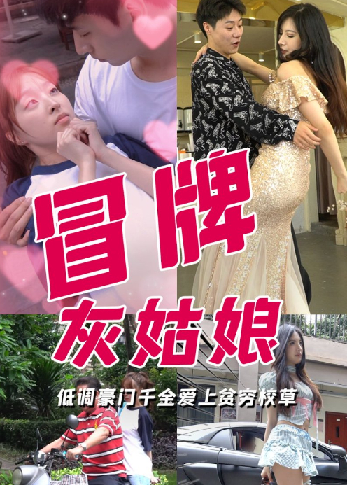冒牌灰姑娘
