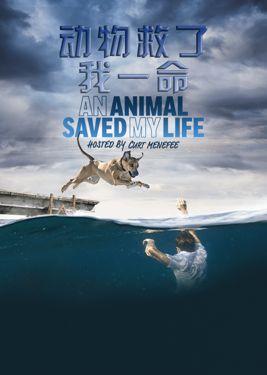 动物救了我一命