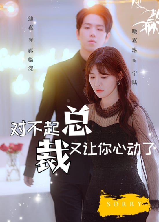 对不起总裁又让你心动了