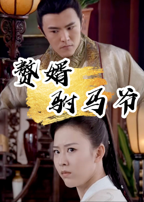 赘婿驸马爷