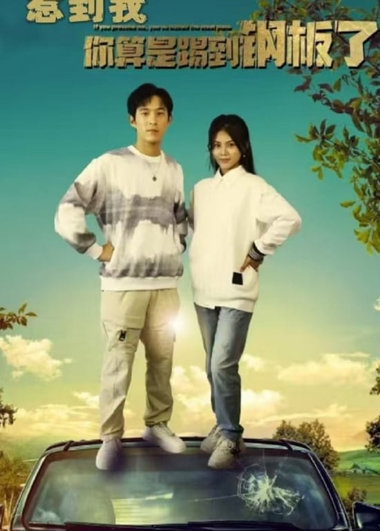 惹到我你算是踢到钢板了