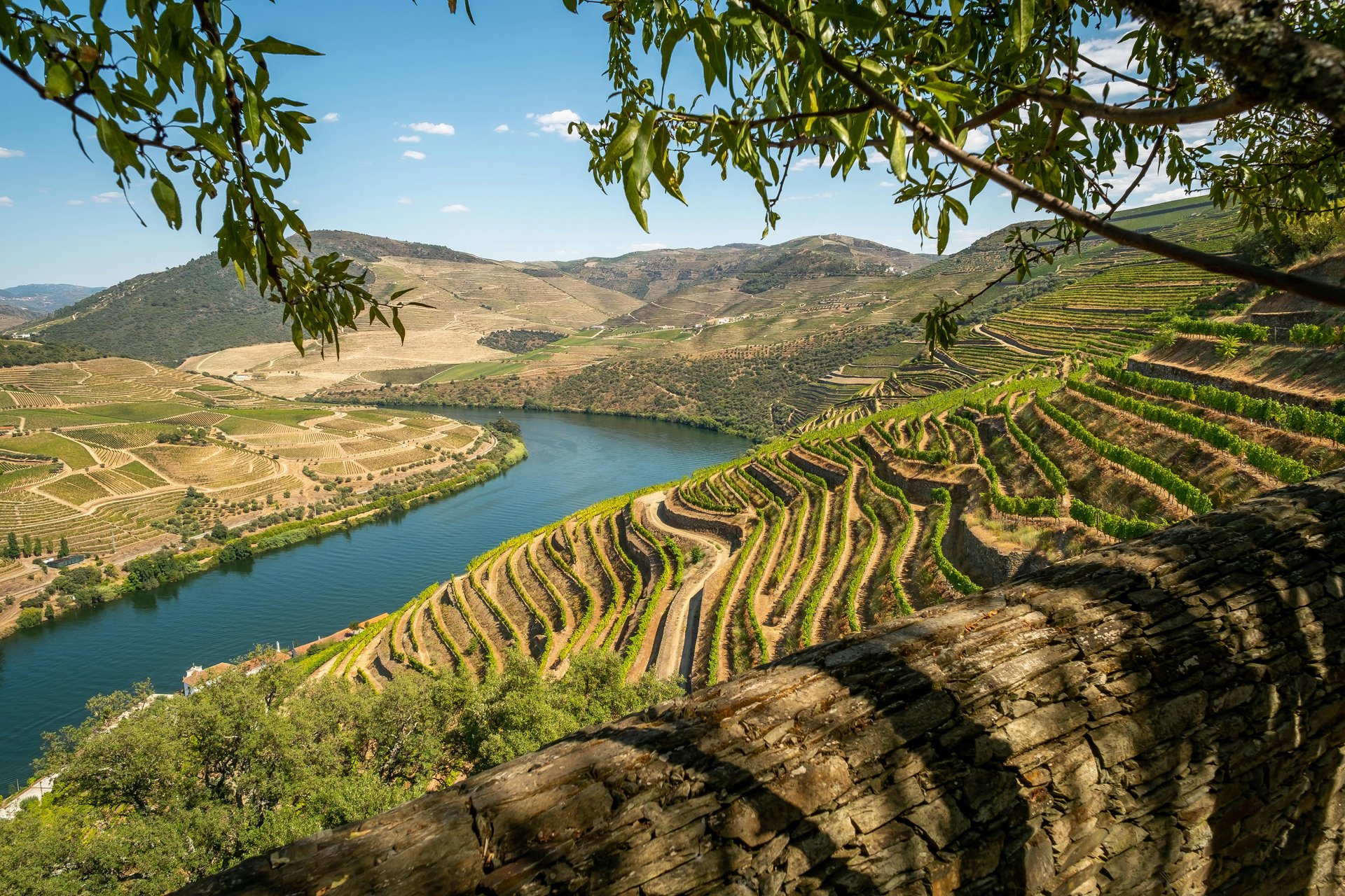 Pt   Douro Valley