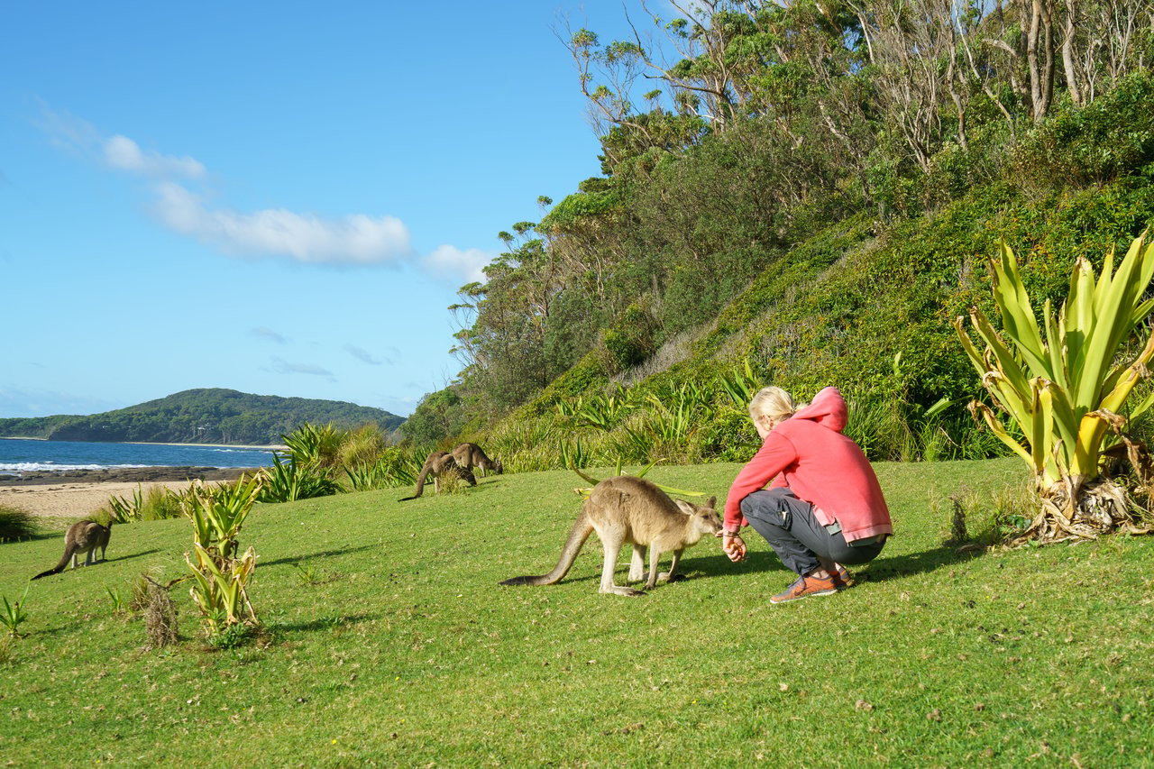 Australia tour, photo 10 of 12