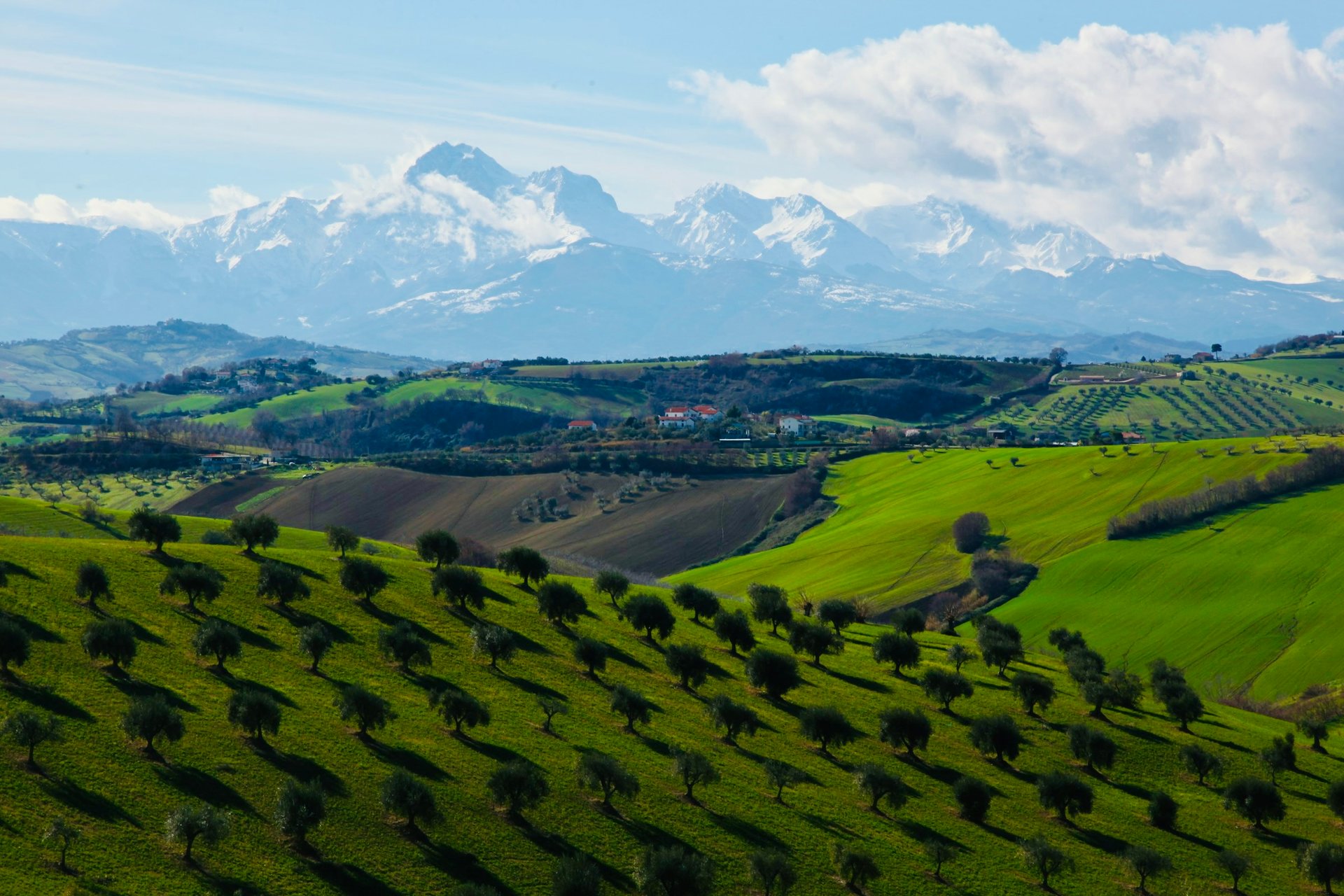 Frontiers | Probabilistic Assessment of Slip Rates and Their Variability  Over Time of Offshore Buried Thrusts: A Case Study in the Northern Adriatic  Sea, image size:1920x1280