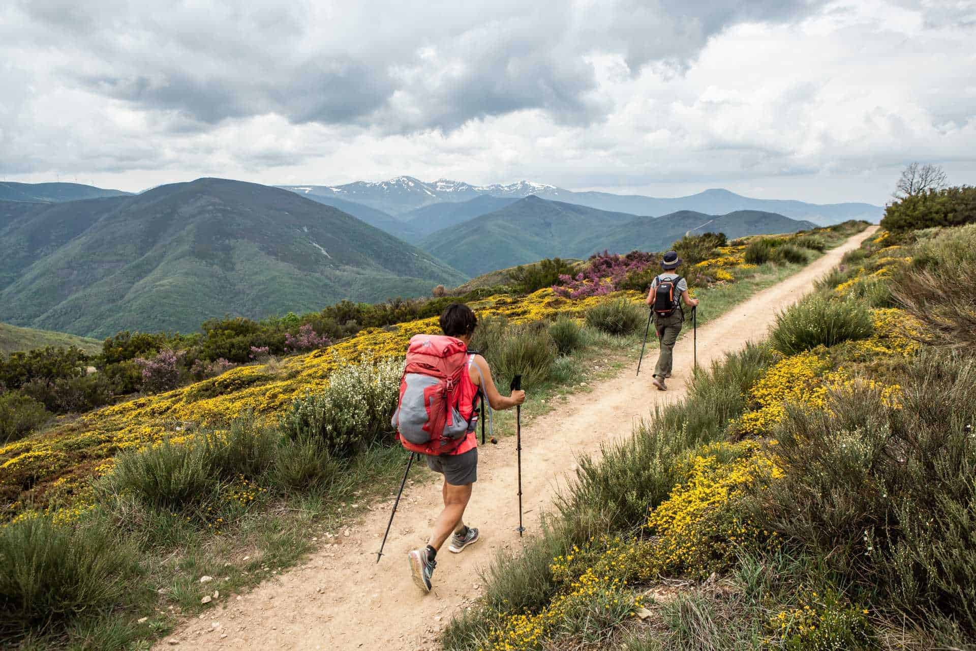 Trail 1