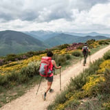 Camino de Santiago