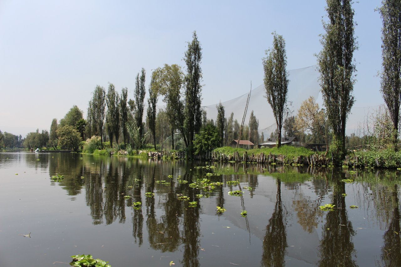 Mexico City tour, photo 3 of 17