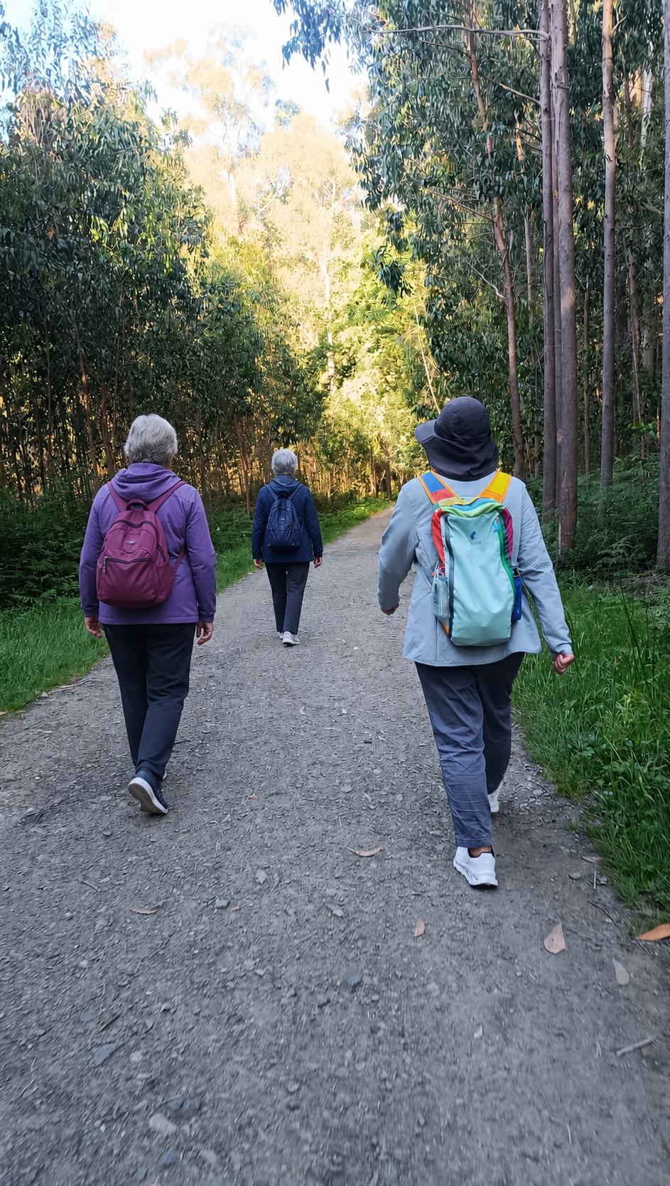 Camino de Santiago tour, photo 2 of 12