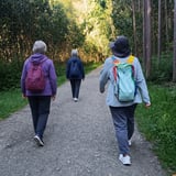 Camino de Santiago