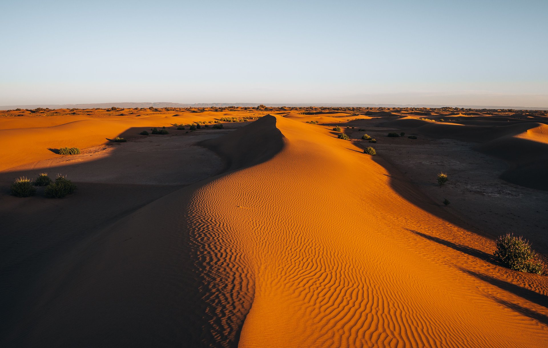 Desert