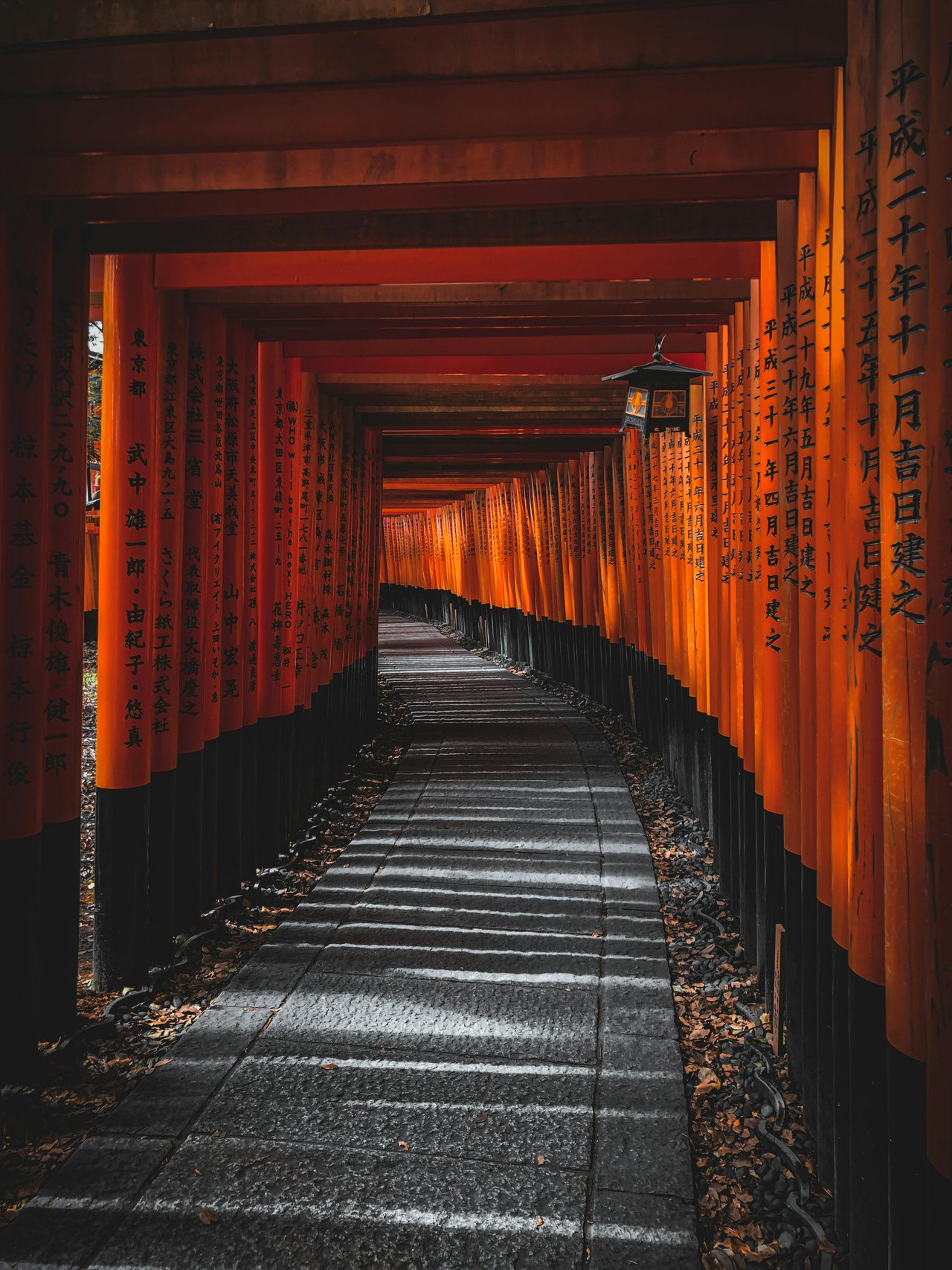 Japan tour, photo 5 of 13
