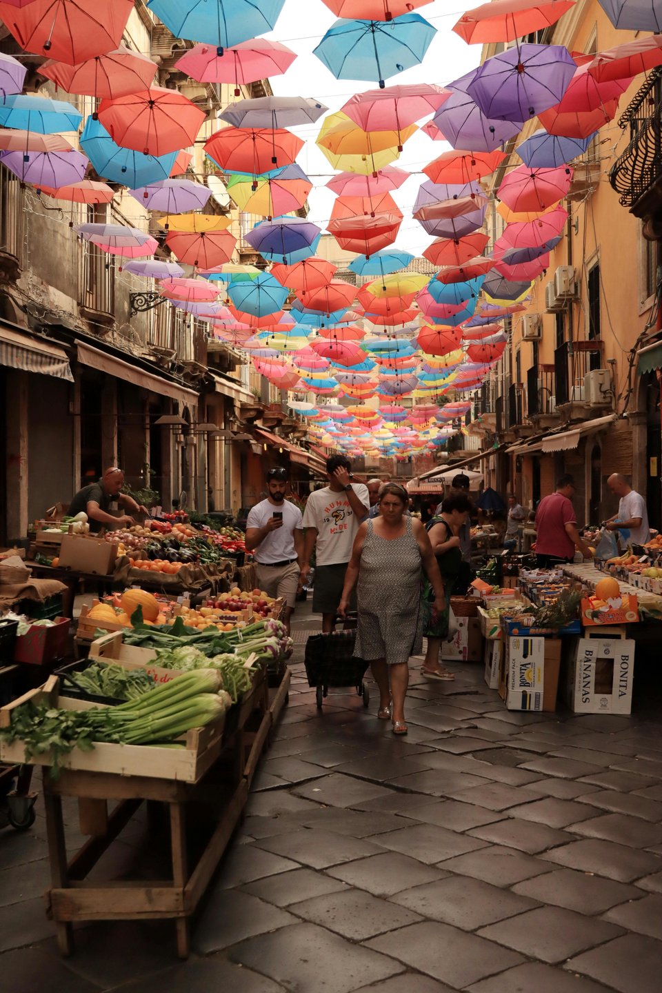 Sicilyf