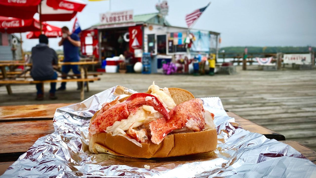 Maine Lobster