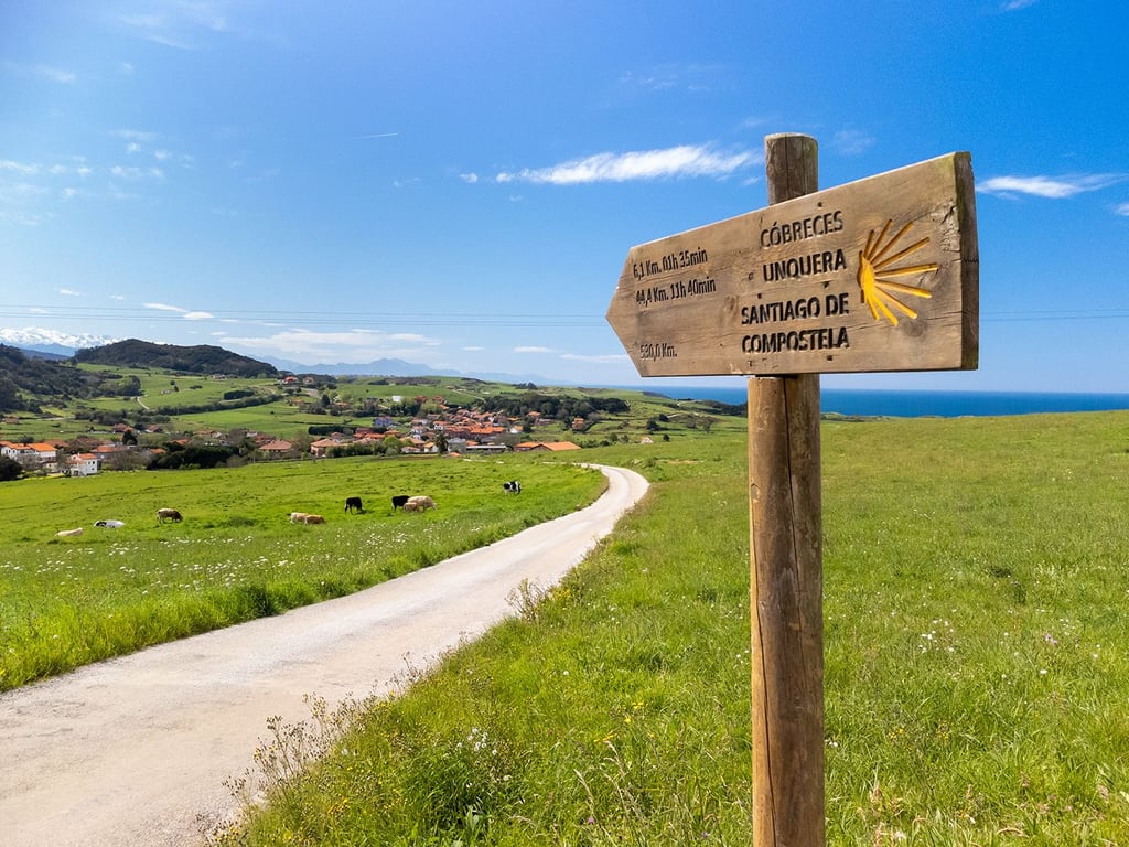 Camino de Santiago tour image