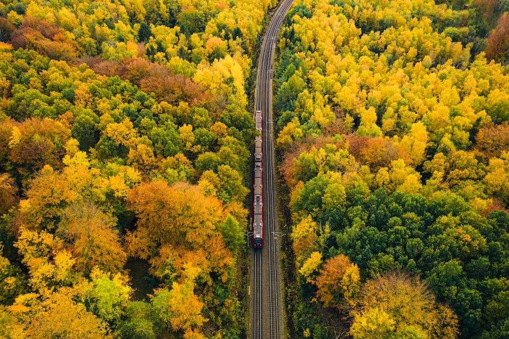 Train