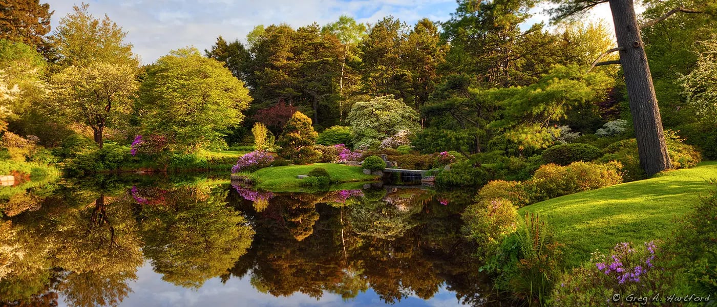 Asticou Azalea Garden