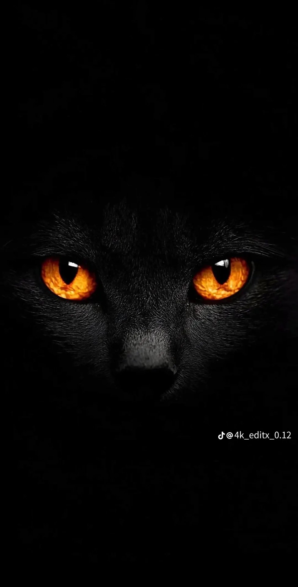 Profile photo for Evilsperm