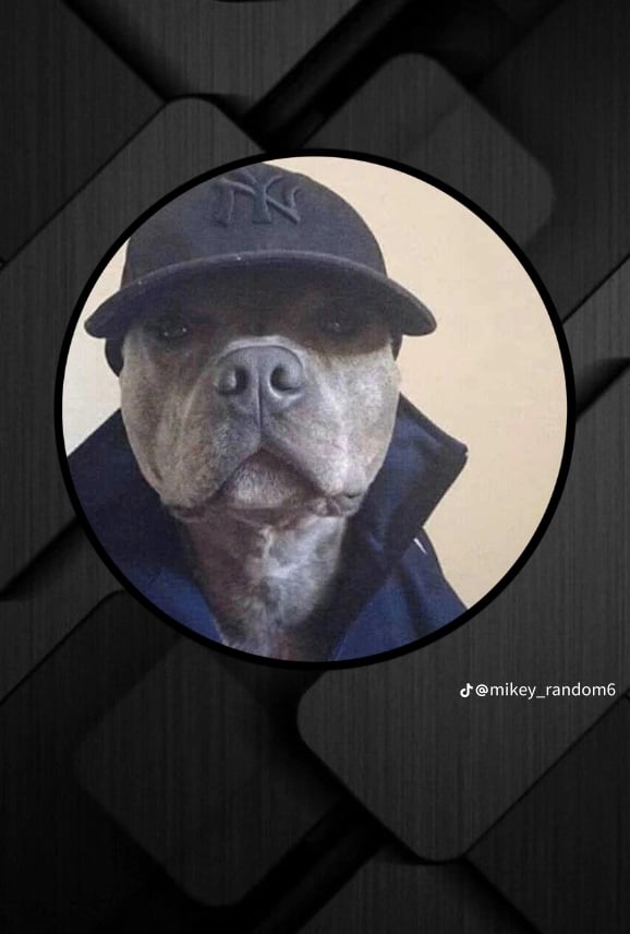 Profile photo for Nkay
