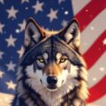 Profile photo of Chiari24