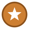 Bronze Activity Level