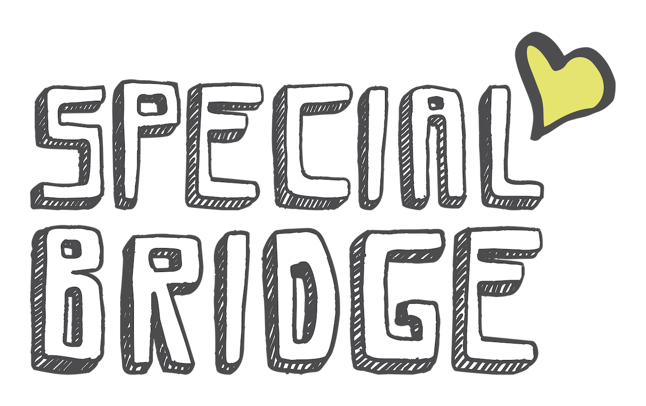 Special Bridge