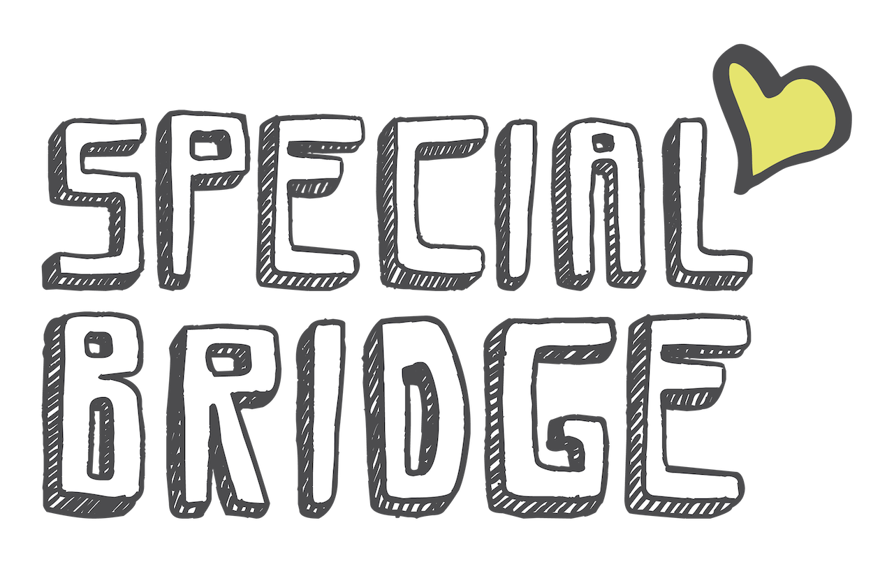 Special Bridge