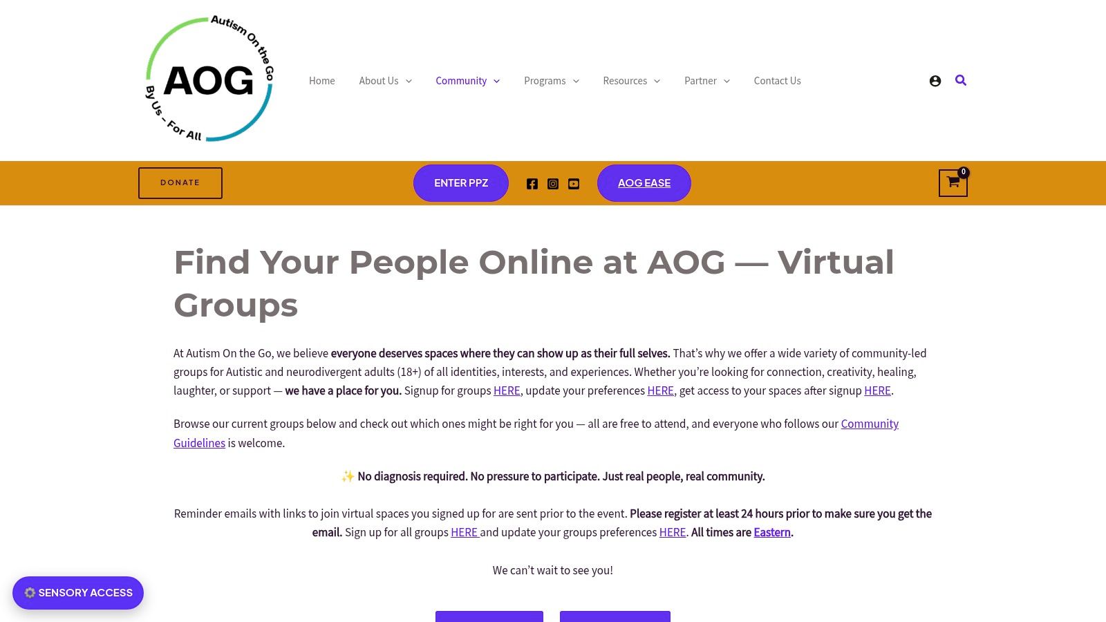 Autism On the Go – Virtual Groups
