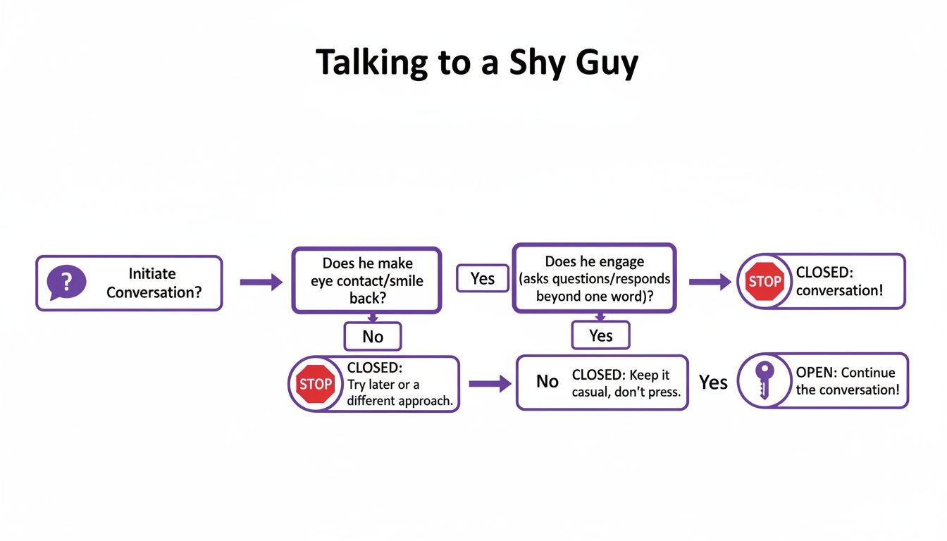 A flowchart detailing steps and decision points for initiating and continuing a conversation with a shy guy.