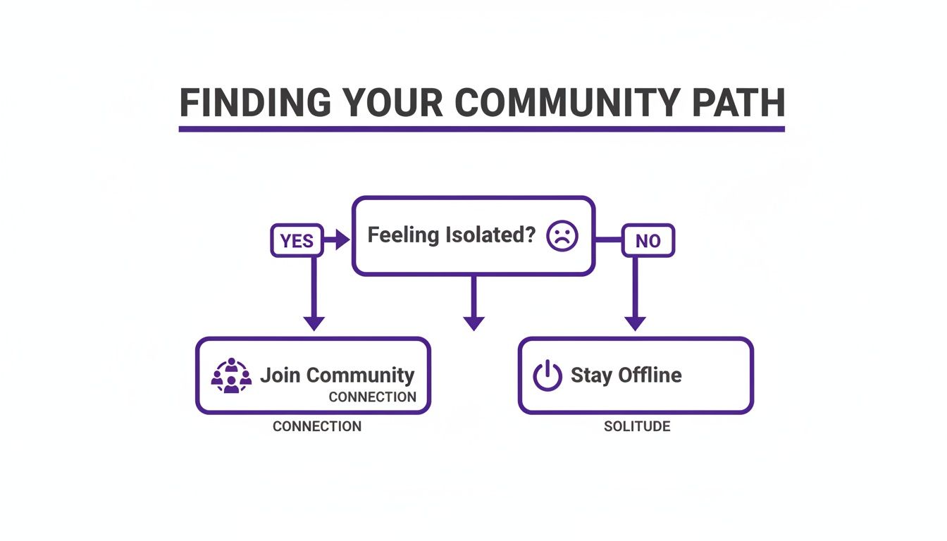 A flowchart illustrating decisions for finding community or choosing solitude based on isolation.