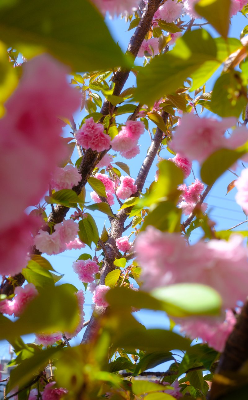 Photography by Byron Johnson - 05fc7493-a59c-4366-3b0f-1c3e48934a00