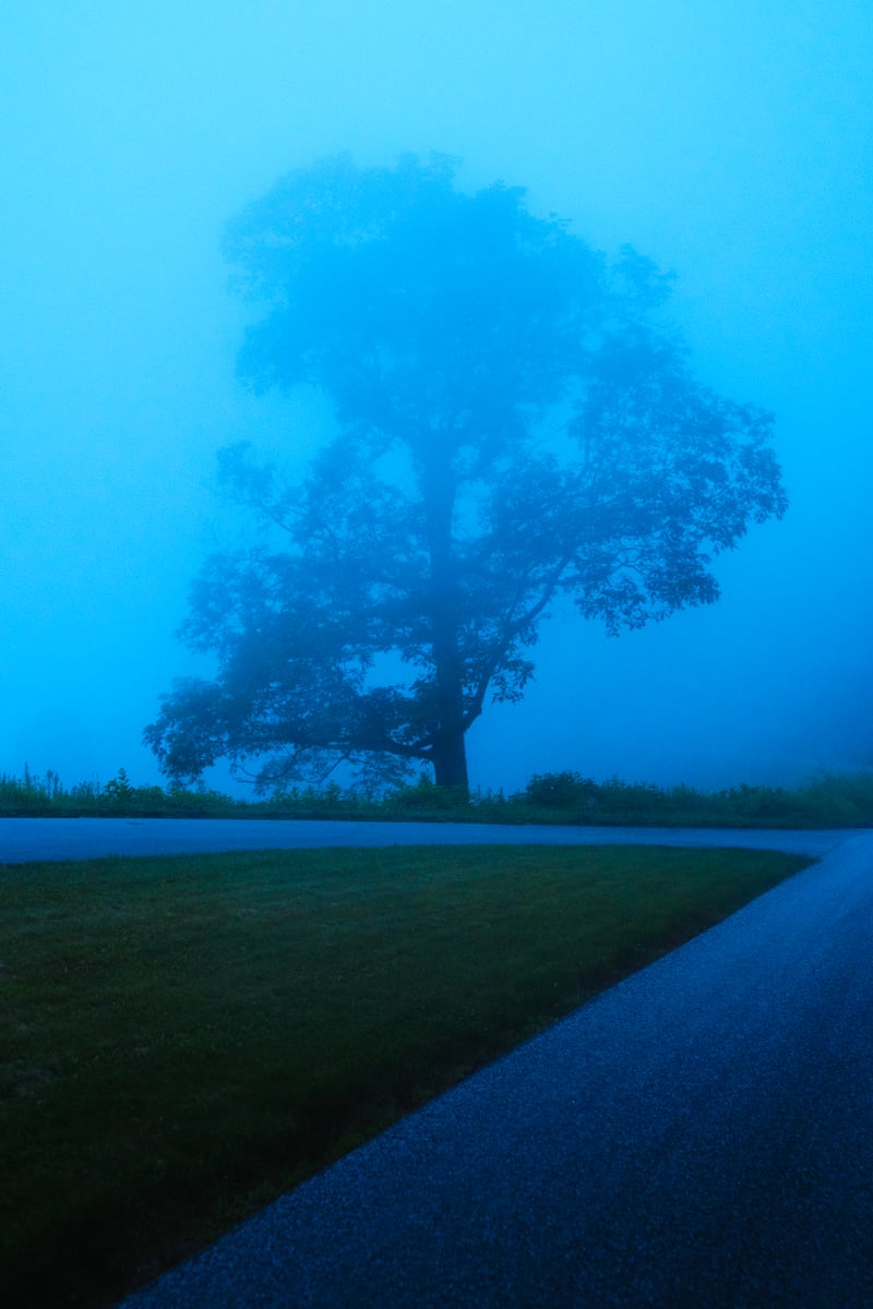 Photography by Byron Johnson - 103a9fd7-690c-473f-5d1c-231c993c7e00