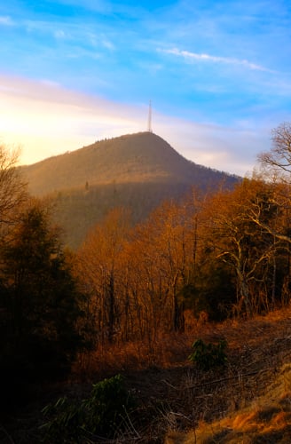 Photography by Byron Johnson - 161469e8-44bd-450c-90c2-d5e364a85600