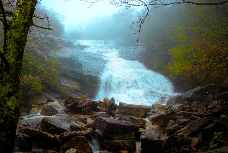Photography by Byron Johnson - 271fb3c5-9b12-430b-1a12-cf5b4464f700