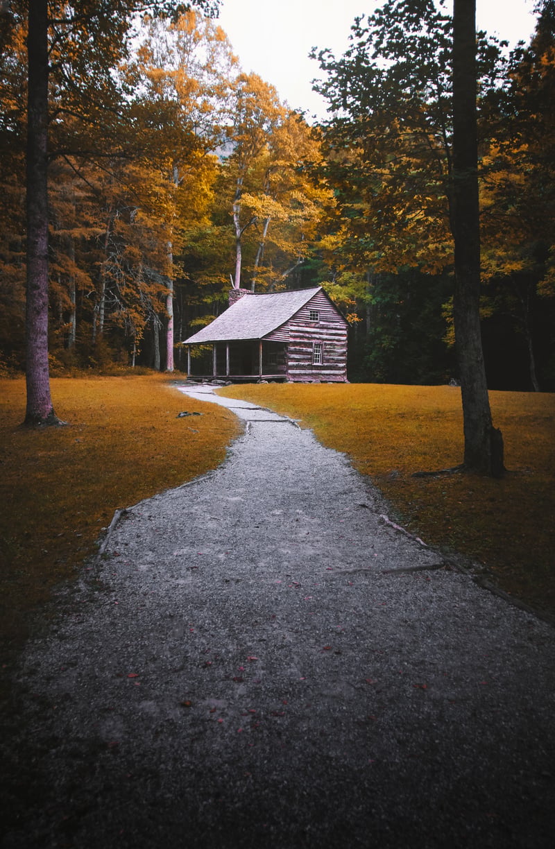 Photography by Byron Johnson - 3b2f5c4d-74f0-4498-28b6-48c7307c0100