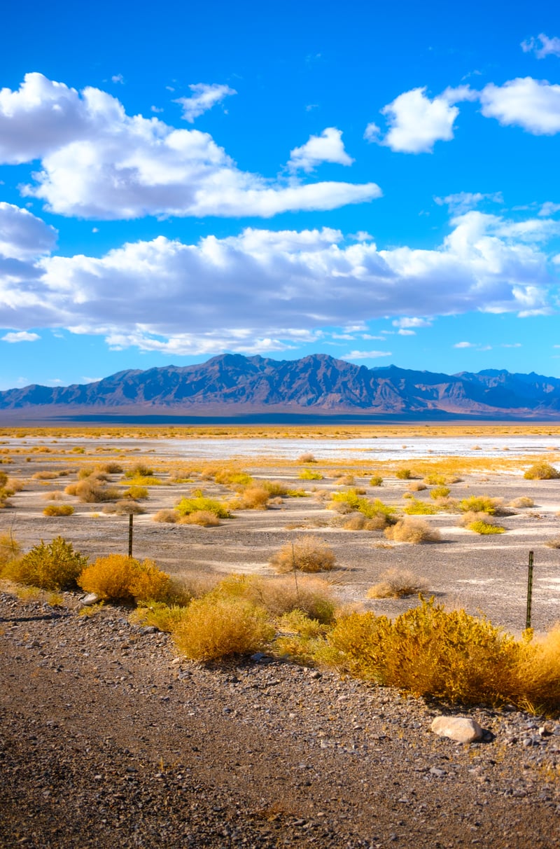 Photography by Byron Johnson - 3dbc4a64-c0c0-4e09-31dc-87ef58b35c00