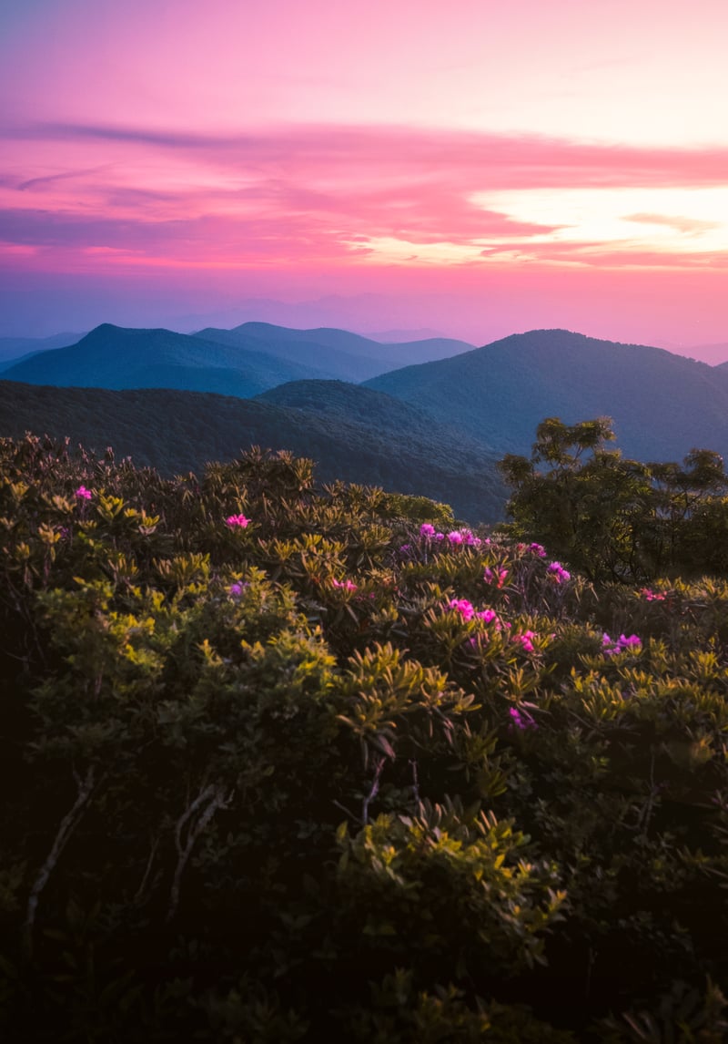 Photography by Byron Johnson - 52a46ed8-cd82-45a8-272b-f9387359f100