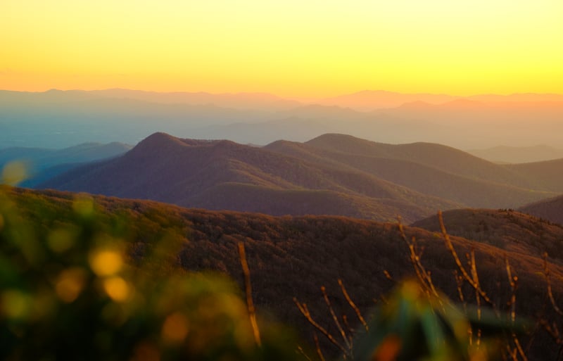 Photography by Byron Johnson - 54166489-6c7f-493d-2f15-973697d88300