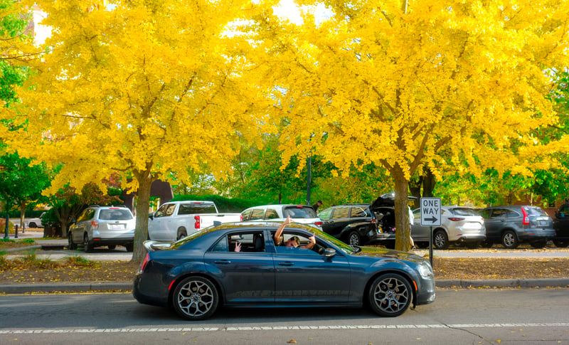 Photography by Byron Johnson - 5c46a20d-3864-4534-7a7d-9317f773a900