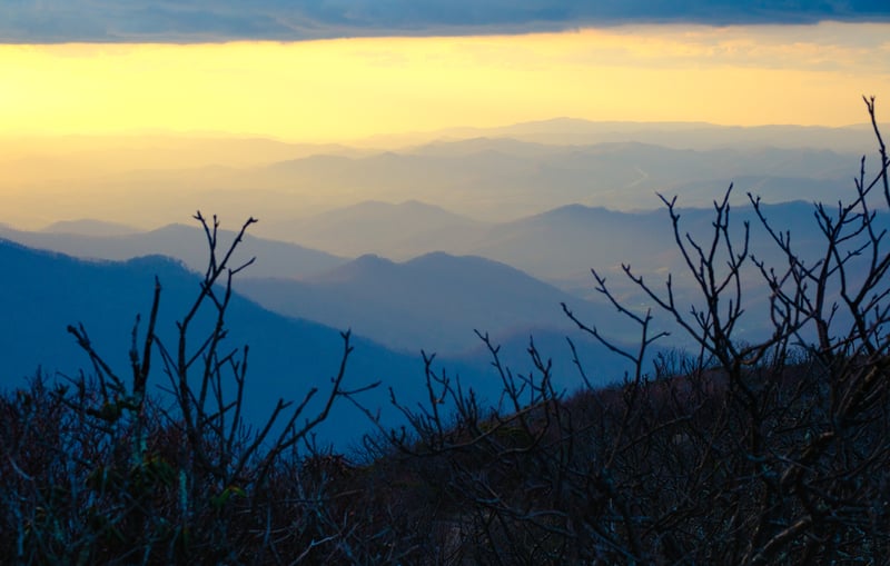 Photography by Byron Johnson - 63cc6a33-2f40-49bb-a915-dac18d131200