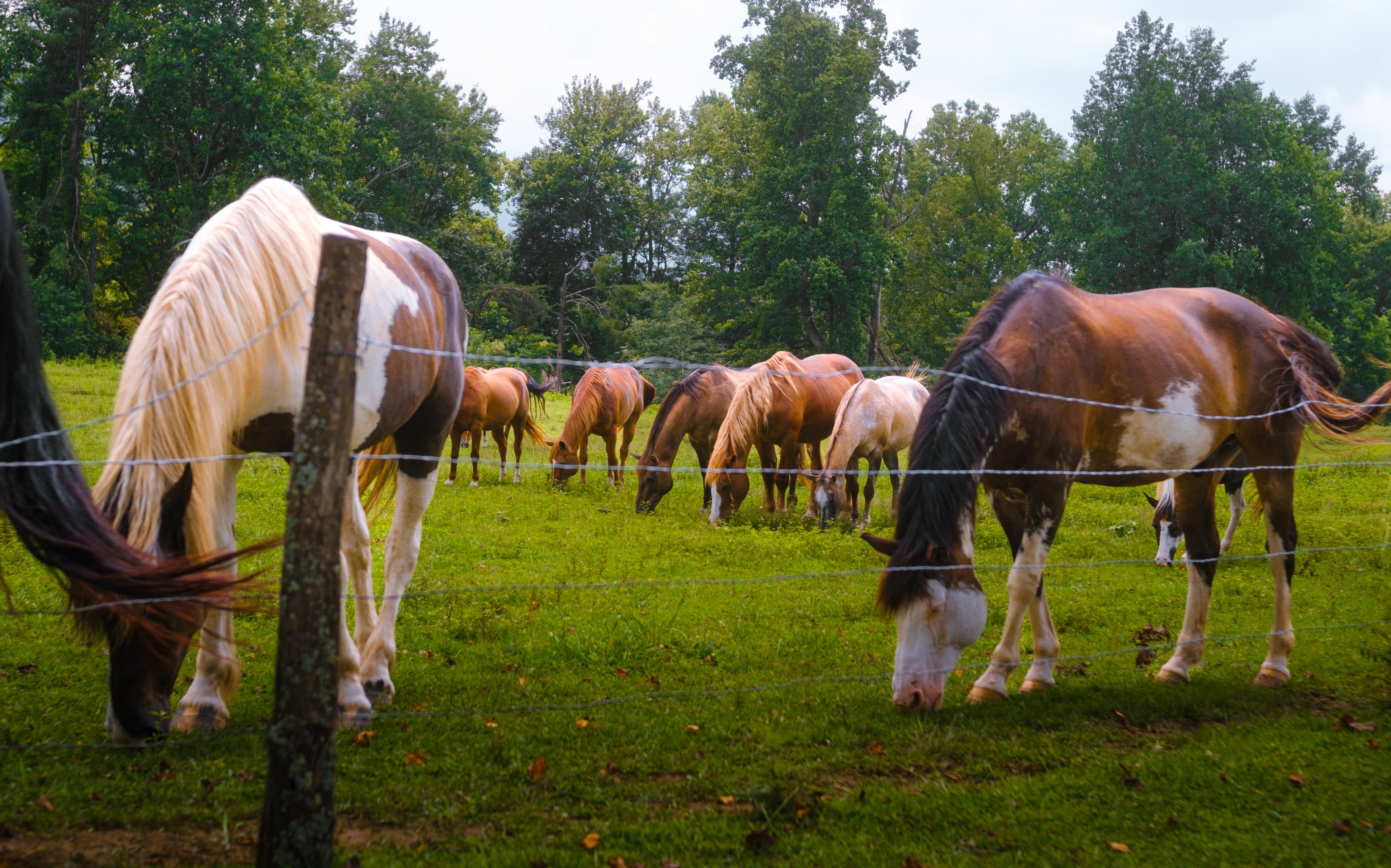 Photography by Byron Johnson - 79023844-820a-4efc-78e1-697789457400