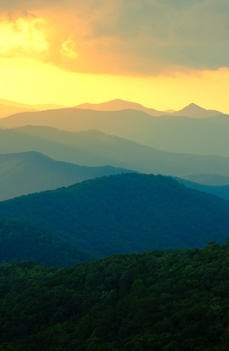Photography by Byron Johnson - 7c0d4bd6-eb63-4f09-0b70-fb4298322500