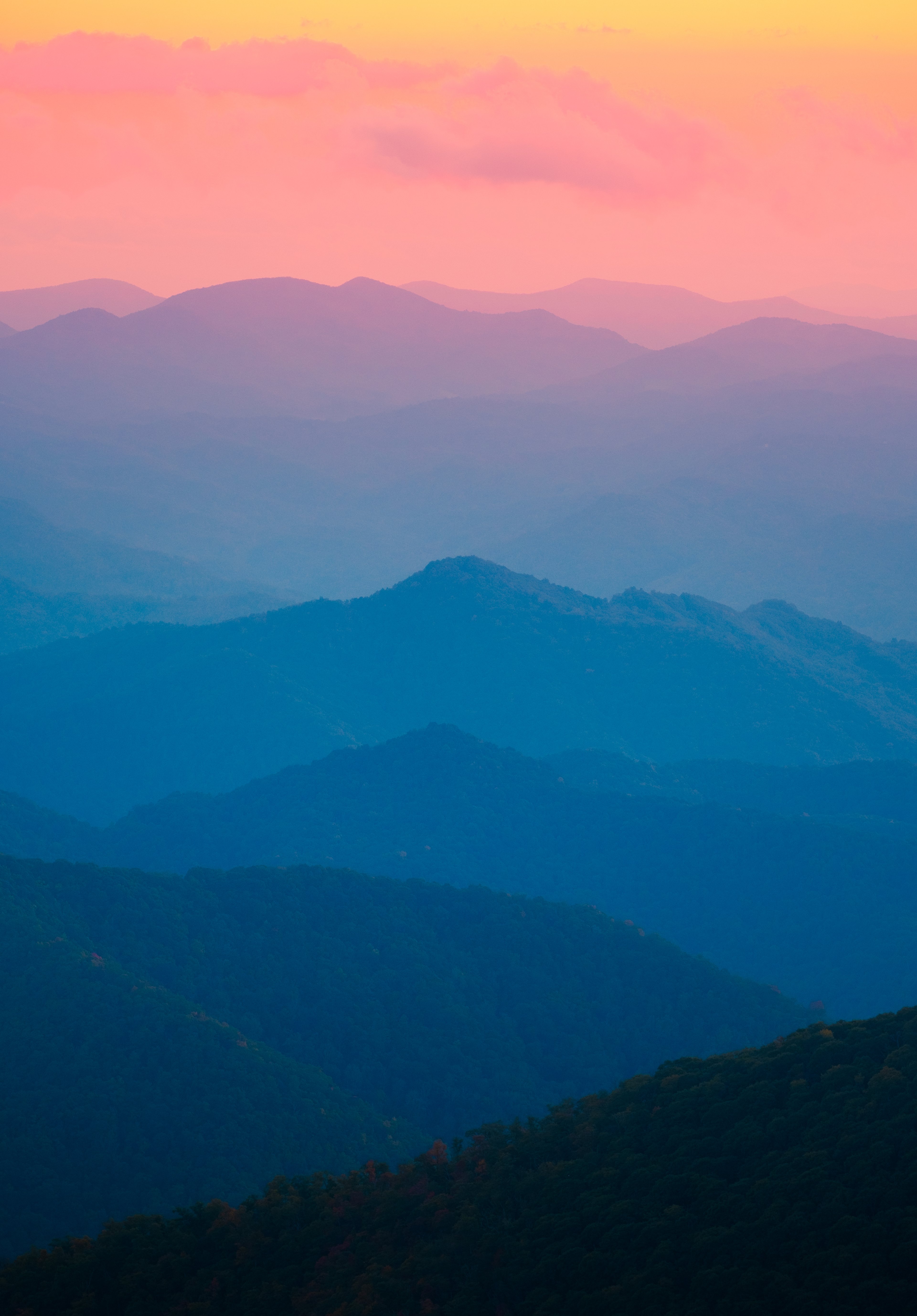 Photography by Byron Johnson - 7e90df75-957c-4a00-31c1-f4b54dbf6100