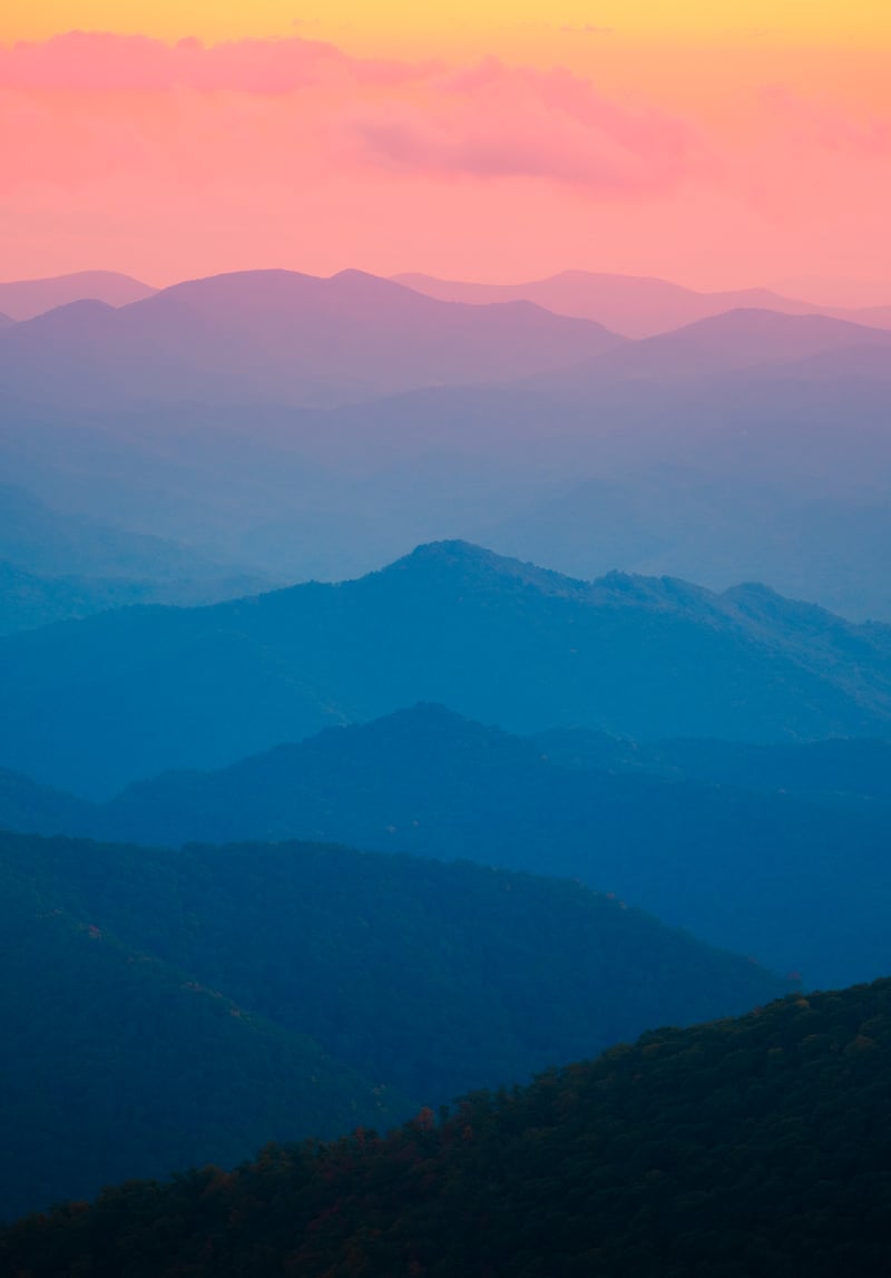Photography by Byron Johnson - 7e90df75-957c-4a00-31c1-f4b54dbf6100