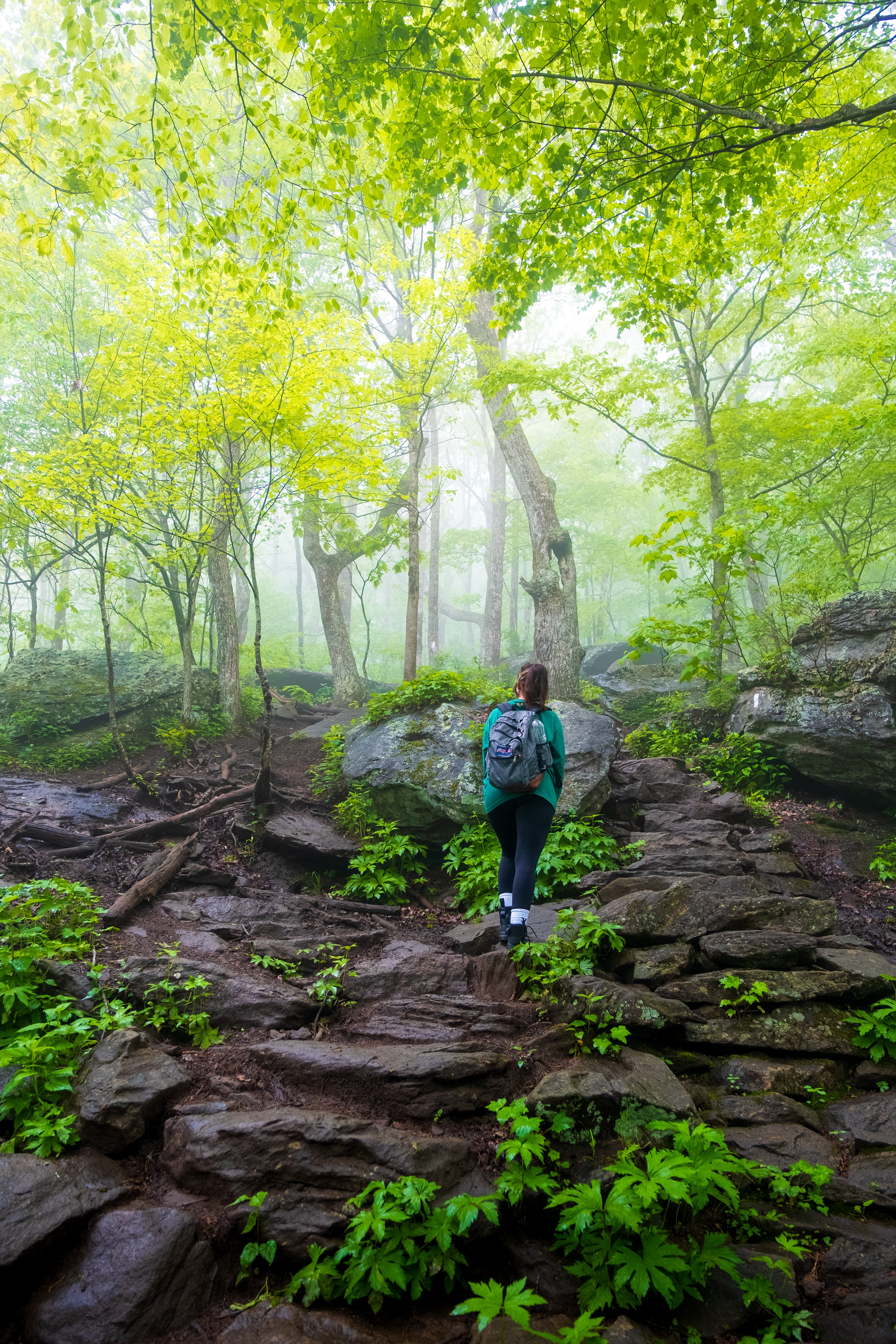 Photography by Byron Johnson - 86609f98-4536-4538-caec-eb639ce74600