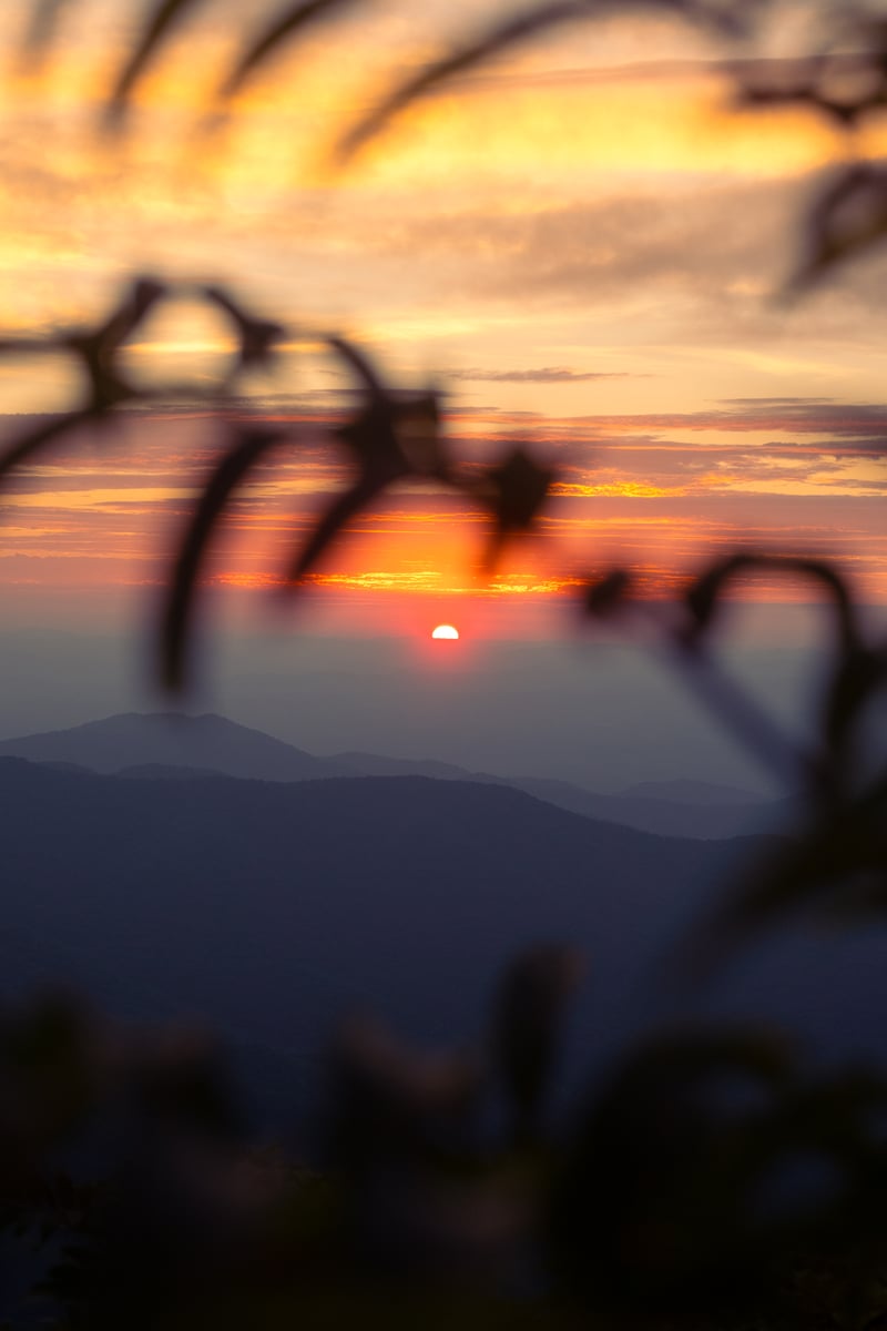 Photography by Byron Johnson - 8a984e57-59f5-42a6-b225-c82e12a9b800