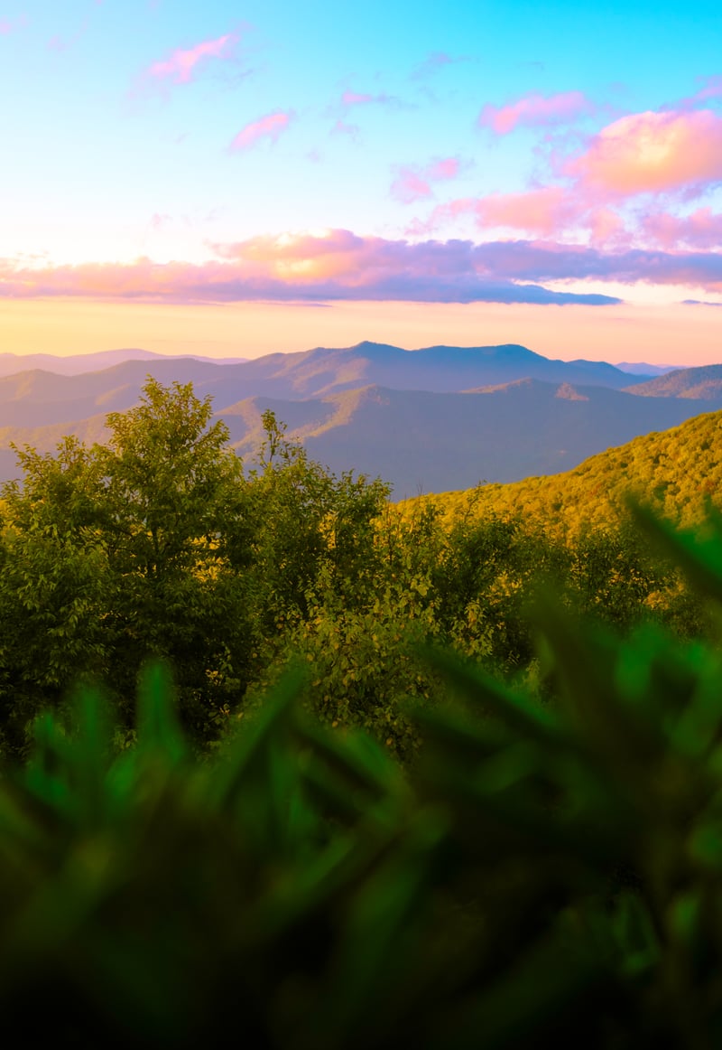 Photography by Byron Johnson - 91c2f7a4-b878-485c-bba3-a7988e848300