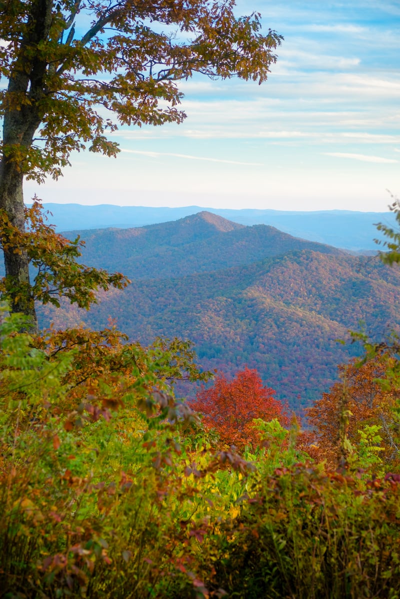 Photography by Byron Johnson - 99f6ff06-9aff-4e88-d39d-6c8945267500