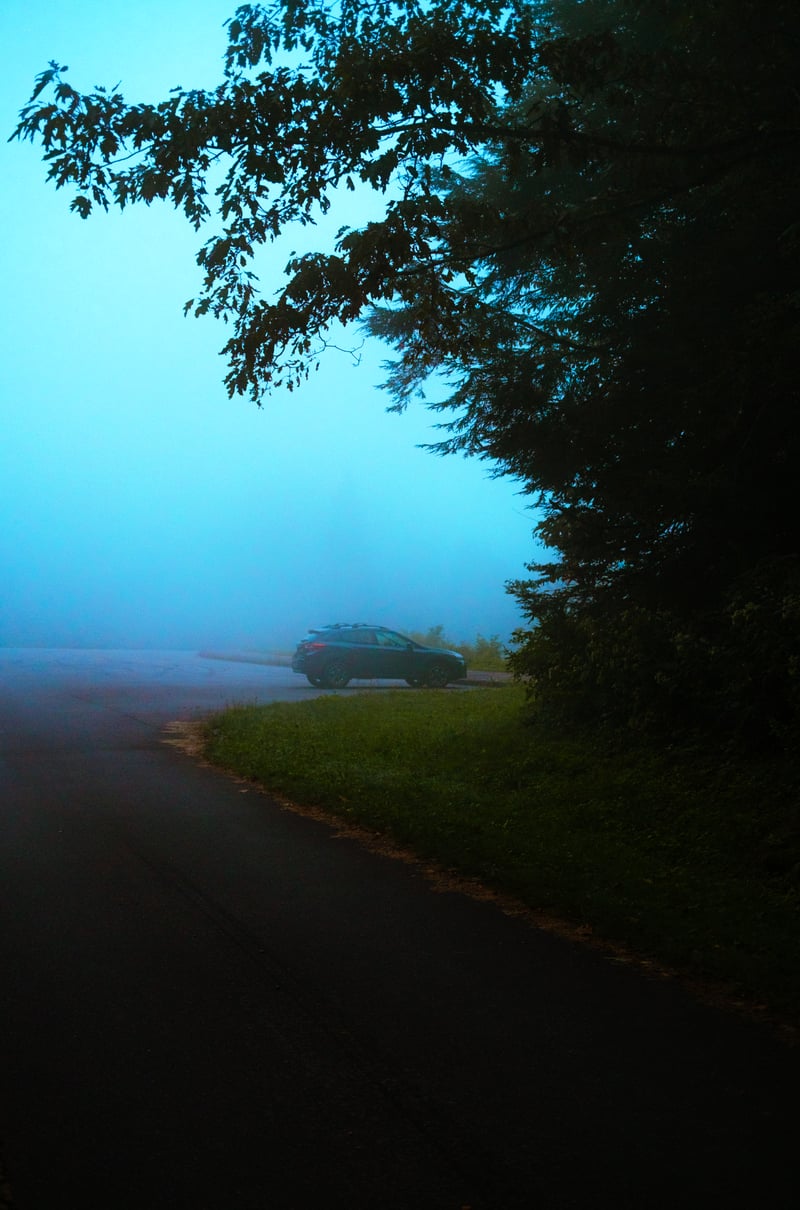Photography by Byron Johnson - a5aa409c-1177-4ea7-80da-2d9afa4ed200
